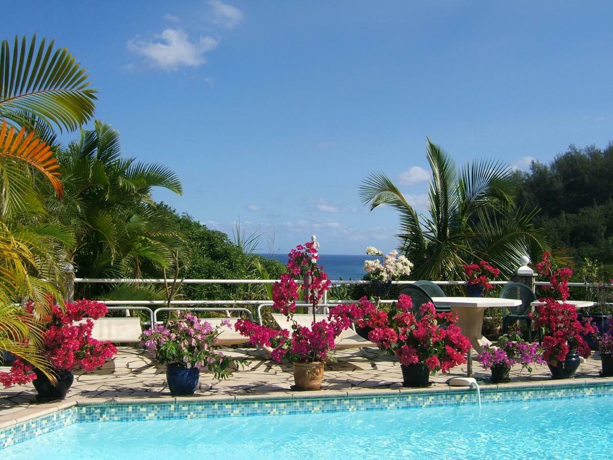 Holiday Home La Caverne Des Hirondelles サン・ジョゼフ エクステリア 写真